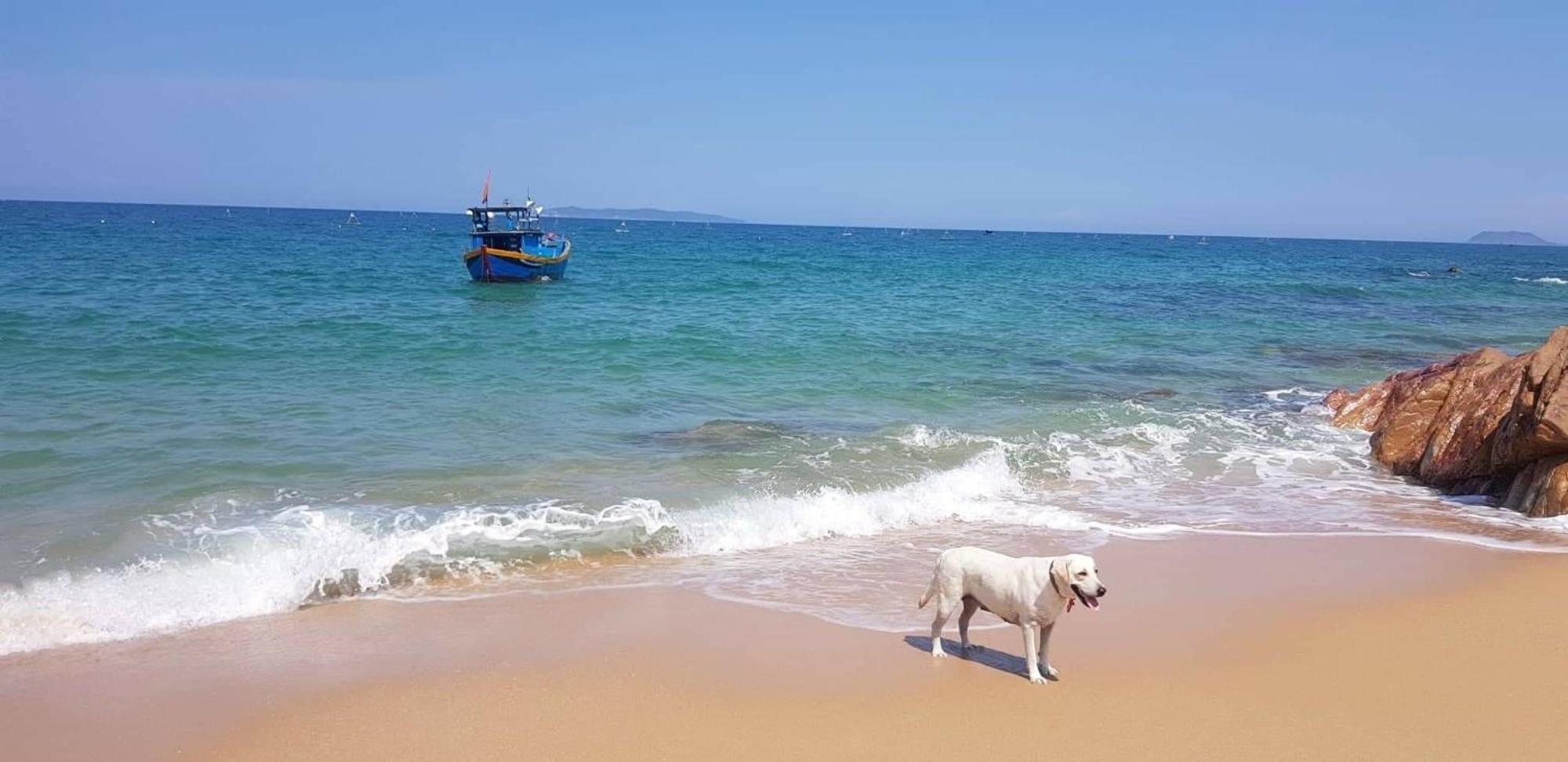 Life'S A Beach Hotel Quy Nhon Exterior photo